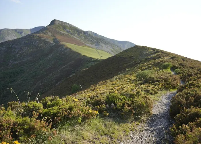 Vivienda Uso Turistico As 펜션 *